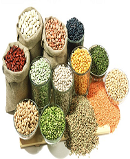 pulses